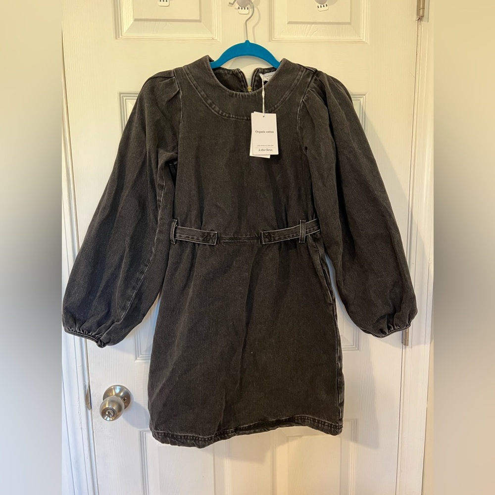 NWT! & Other Stories Denim Mini Dress